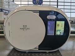 -郑州新郑国际机场-T2航站楼