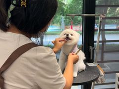 -樱桃家的宠物店(君安花园店)