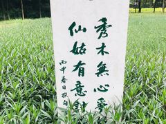 -重庆彩云湖湿地公园
