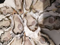 -千岛蚝高压锅生蚝·人参火锅(白云万达店)