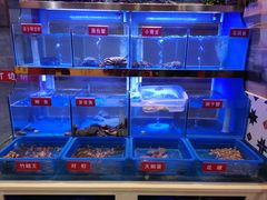 -小龍鳳·港式海鲜打边炉(沙湖路店)