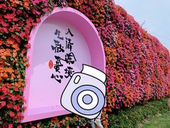 -佛手湖郊野公园