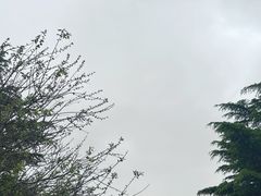 -北京鹫峰国家森林公园