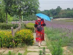 -紫颐香薰山谷景区