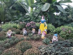 -石家庄市植物园