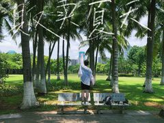-万绿园