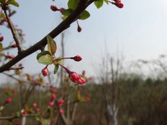 -白鹭湾湿地公园