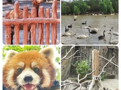 -上海野生动物园