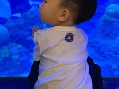 -成都浩海立方海洋公园