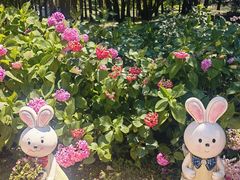 -上海共青森林公园