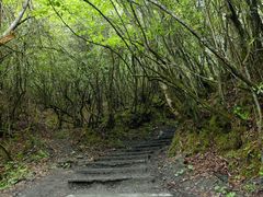 -九寨沟爱情海景区