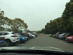 -上海滨江森林公园·停车场
