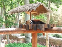 -北京野生动物园