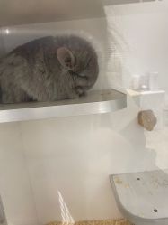 点击看大图 -妙指·日式美甲美睫