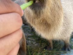 -郑州银基黄帝宫御温泉