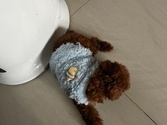 -pd派德宠物中心医院24H急重症·眼科中心·血液透析中心(嵩山北路店)