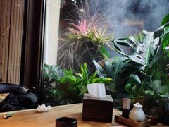 -森味薪火烧•烧鸟居酒屋•日本料理(望京店)