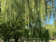 -石家庄市植物园