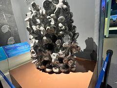 -辽宁古生物博物馆