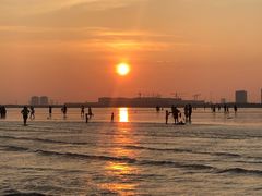 -南汇嘴观海公园