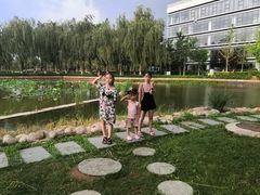 -廊坊文化艺术中心