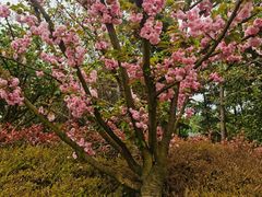 -白鹭湾湿地公园