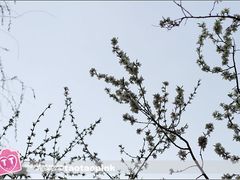 -哈尔滨师范大学(江南校区)