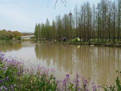 -南桥绿地铂骊酒店