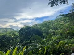 -深圳仙湖植物园