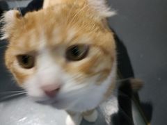 -极木²邸 人与宠物·互动社区