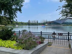 -上海长兴岛郊野公园