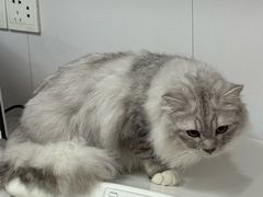 -博特宠物医院24h犬猫全科.骨科·异宠