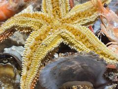 -永红源啤酒·烧烤·海鲜·大排档(青特城店)