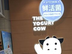 -一只酸奶牛(双流万达广场店)