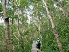 -白草畔自然风景区