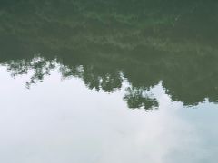 -水濂山森林公园