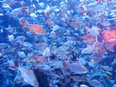 -成都浩海立方海洋公园