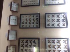 iphone_upload_pic-下渚湖国家湿地公园科普馆