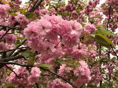 -苏州河梦清园环保主题公园