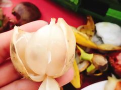 -东芭乐园