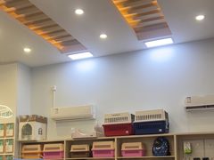 -瑞派紫金宠物医院24小时·骨科·中兽医·重症转诊中心(番禺大石院)