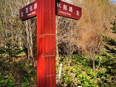 -绥化市森林植物园