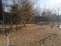 -元大都城垣遗址公园