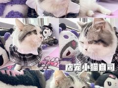 -蘑菇岛·陶艺·银饰·流麻DIY