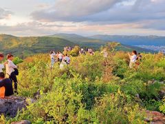 -长虫山生态公园风景林