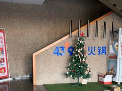 -蒙都43°9羊火锅(平庄店)