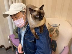 -宠爱国际动物医院·消化内科·心肾内科·ISFM猫友好(望京店)