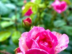 -重元寺香积厨素斋馆