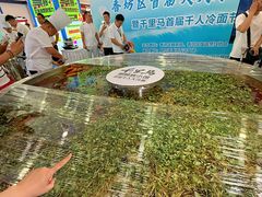 -鑫日千里马朝鲜族小馆(总店)