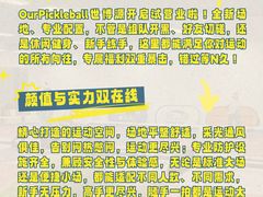 -Our Pickleball多多动匹克球俱乐部(世博源店)